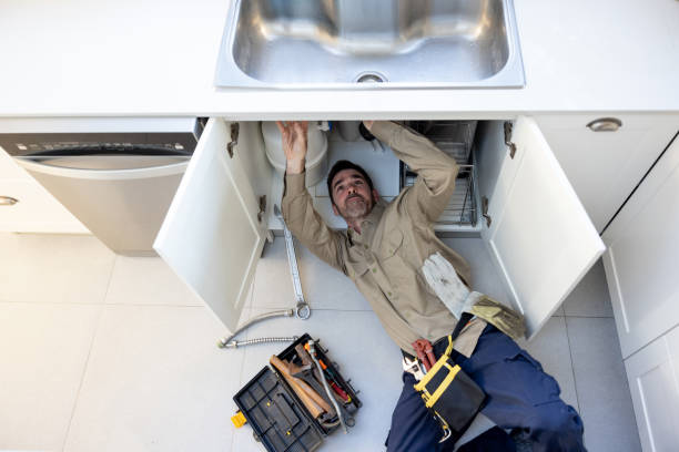 Best Residential Plumbing Services  in Lake Vla, IL