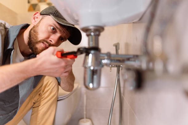 Best Septic Systems  in Lake Vla, IL