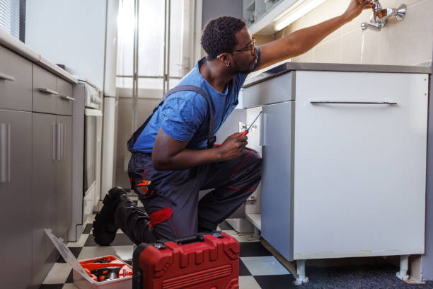 Best Plumbing Repair Near Me  in Lake Vla, IL