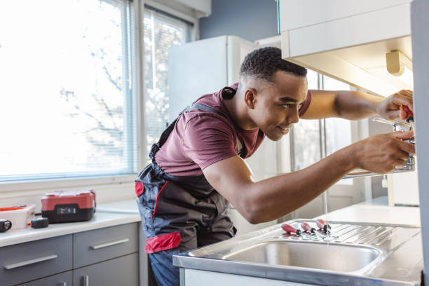Best Emergency Plumber  in Lake Vla, IL